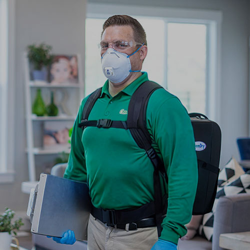 Carpet protectant and sanitiser applied by Chem-Dry By James