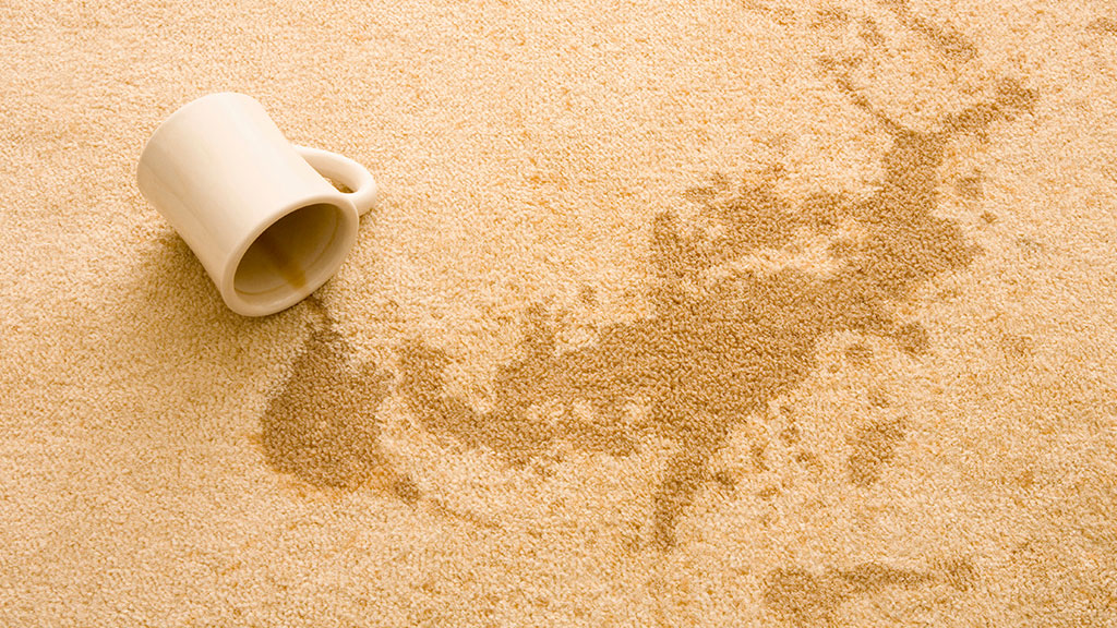 Specialty stain removal by Chem-Dry By James on Western Sydney carpets